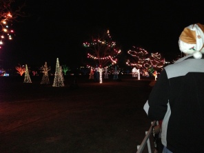 2012-12-21 14 Trail of Lights.jpg